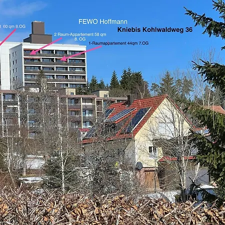 44 Qm Dieter Hoffmann Freudenstadt-kniebis Beim Nationalpark * Freudenstadt