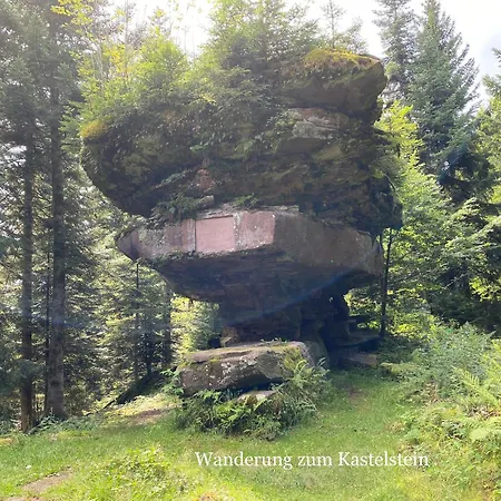 44 Qm Dieter Hoffmann Freudenstadt-kniebis Beim Nationalpark