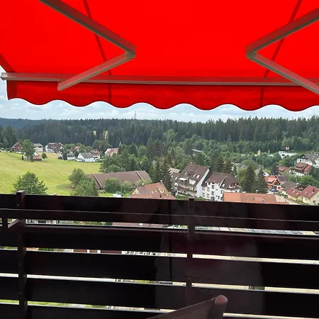 44 Qm Dieter Hoffmann Freudenstadt-kniebis Beim Nationalpark Freudenstadt