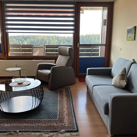 Apartment 1-raum 44 Qm Dieter Hoffmann Freudenstadt-kniebis Beim Nationalpark Freudenstadt
